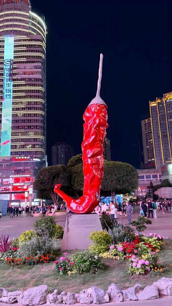 我在重庆