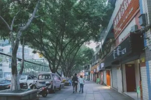 “重庆五小区”是什么梗