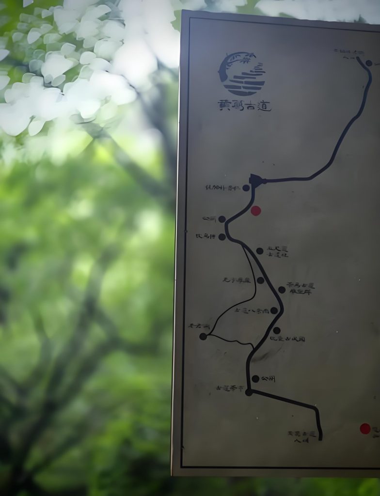 重庆黄葛古道历史与徒步指南