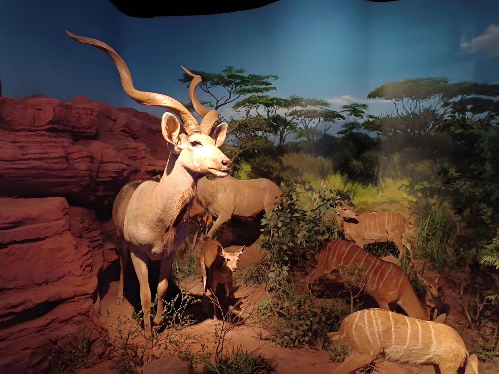 重庆北碚旅游攻略推荐