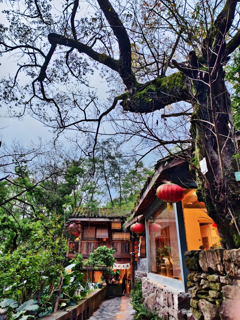 重庆北碚旅游攻略推荐